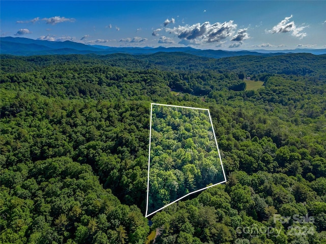 TBD(HM103) Hawk Mountain Road, Lake Toxaway NC, 28747 land for sale