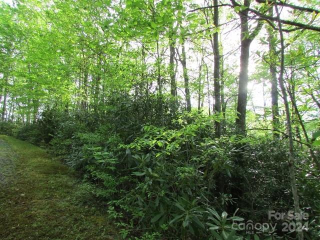 TBD Big Ridge Rd, Burnsville NC, 28714 land for sale