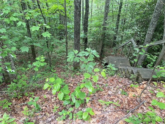 Listing photo 2 for LT279 Cabin Flats Rd Unit 279, Balsam NC 28707