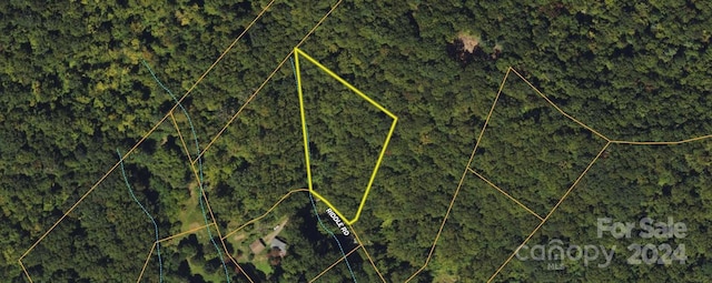 303 Riddle Rd, Swannanoa NC, 28778 land for sale