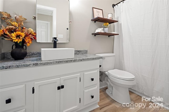 bathroom featuring wood-type flooring, vanity, and toilet