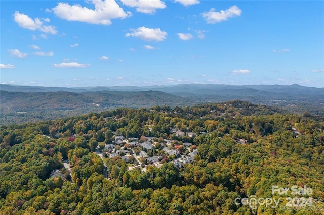 drone / aerial view featuring a mountain view