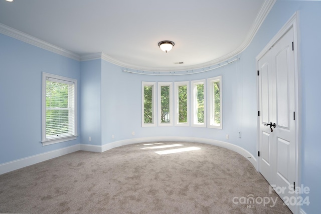 unfurnished room featuring carpet flooring and ornamental molding