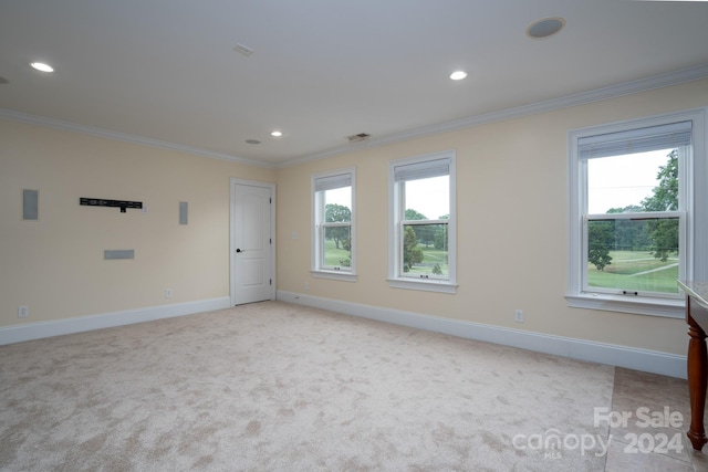 carpeted empty room with a healthy amount of sunlight and ornamental molding