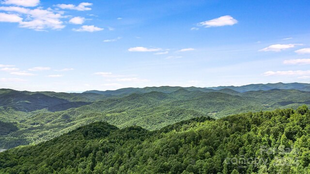 000 Still Spring Rd, Black Mountain NC, 28711 land for sale