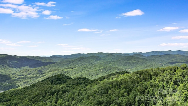 000 Still Spring Rd, Black Mountain NC, 28711 land for sale