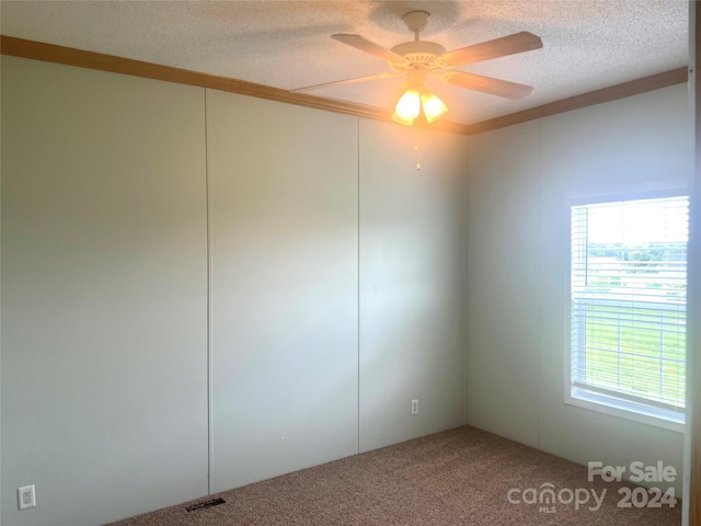200 Olin Loop, Olin, NC 28660 - carpeted empty room featuring ceiling fan, a wealth of natural light, and a textured ceiling