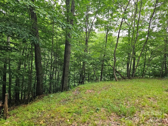 Listing photo 2 for LOT3 Mountain View Rd, Burnsville NC 28714