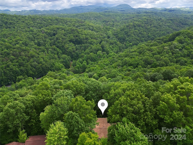 drone / aerial view with a mountain view