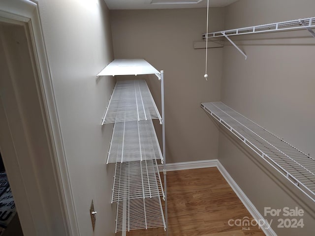 walk in closet featuring hardwood / wood-style flooring