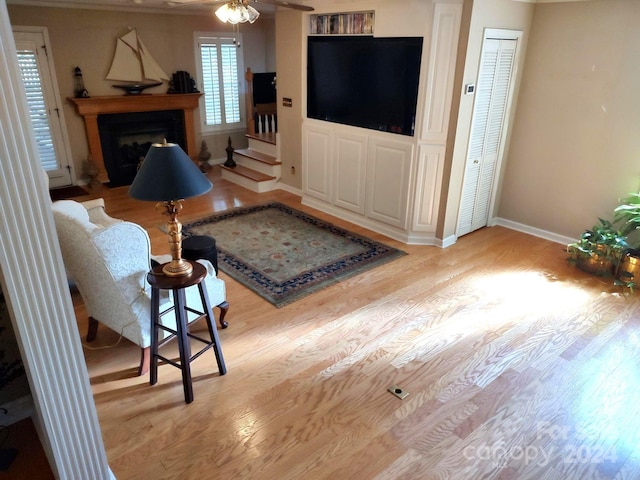 living room featuring light hardwood / wood-style floors