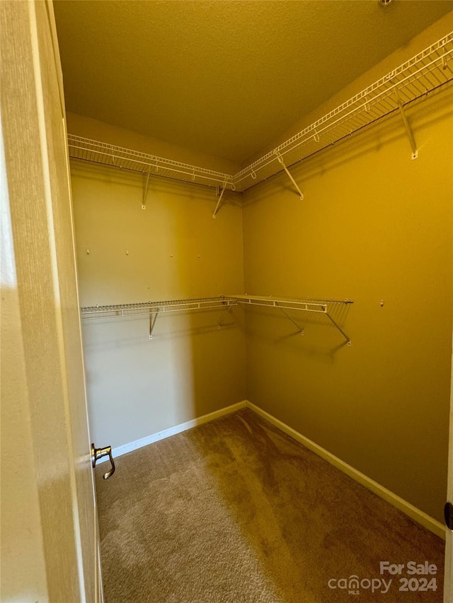 spacious closet with carpet flooring