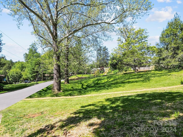 view of home's community with a yard