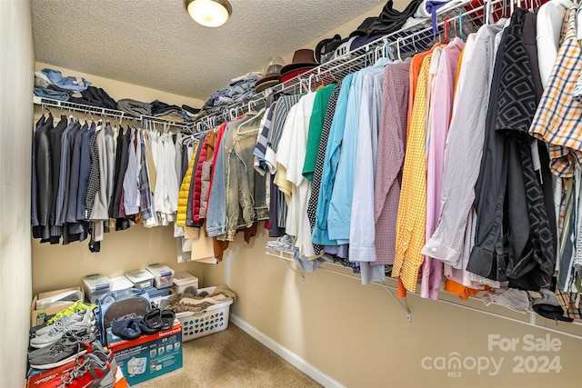 spacious closet with carpet