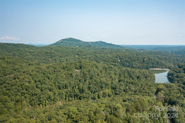 0000 Bills Creek Rd Unit 117, Lake Lure NC, 28746 land for sale