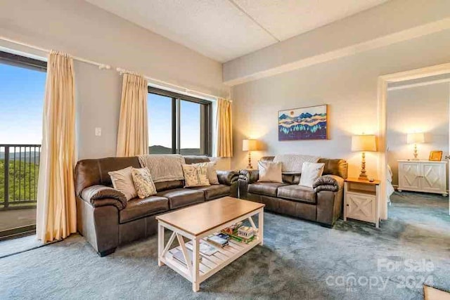 living room featuring carpet flooring and plenty of natural light