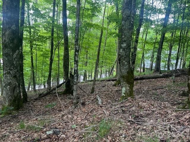 111 Village Cluster Rd, Beech Mountain NC, 28604 land for sale