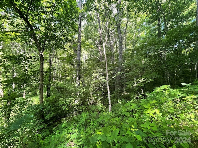 Listing photo 3 for TBD Mountain Glen Road, Canton NC 28716