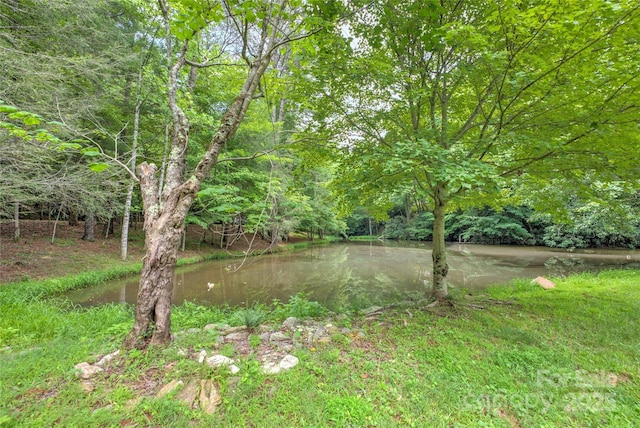 view of yard with a water view