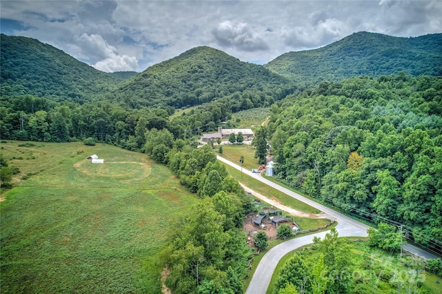 birds eye view of property featuring a mountain view