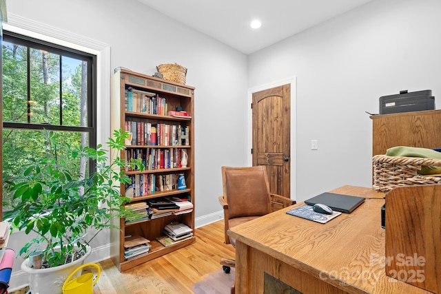 office area featuring hardwood / wood-style floors