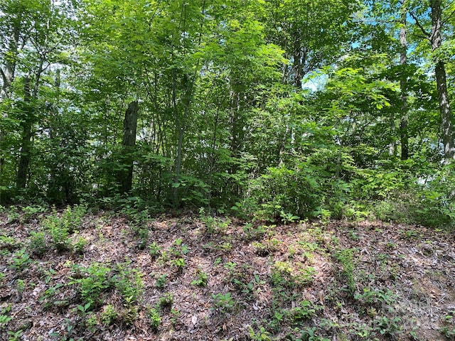 Listing photo 3 for LOT79 Vail Pass Rd, Whittier NC 28789