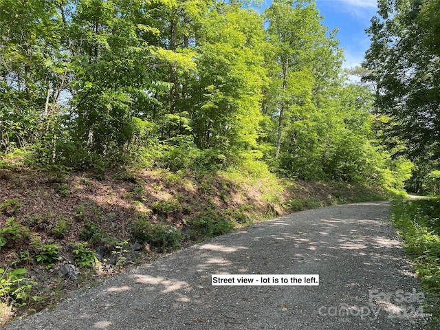 LOT79 Vail Pass Rd, Whittier NC, 28789 land for sale