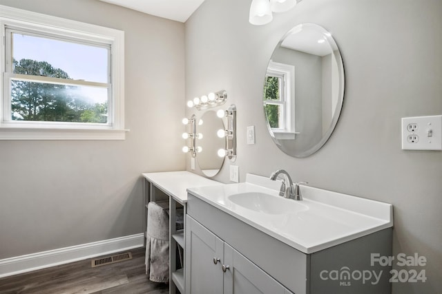 bathroom featuring hardwood / wood-style flooring, vanity, and a wealth of natural light