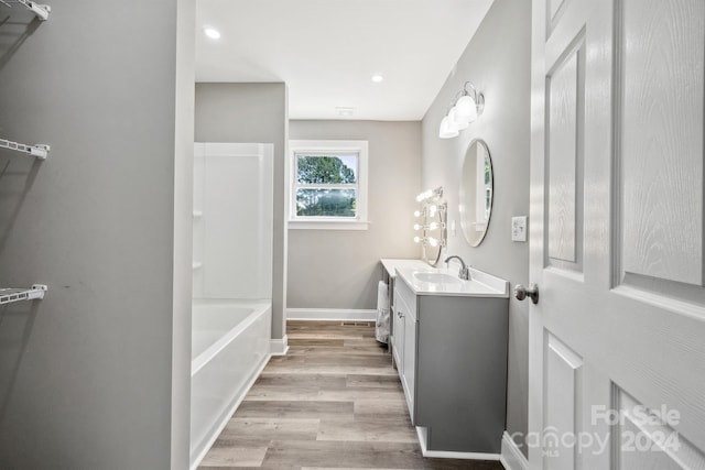 bathroom with wood-type flooring and vanity