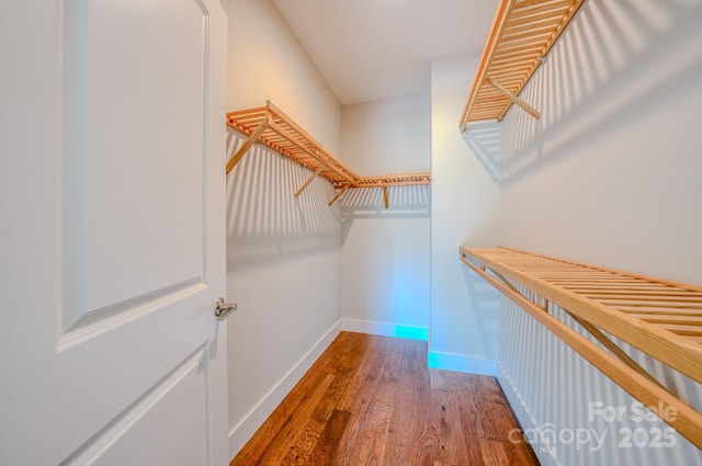 167 Collin Pl Unit 21, Asheville, NC 28804 - walk in closet featuring wood finished floors