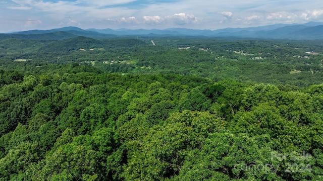 0 Grants Mountain Rd Unit 28, Marion NC, 28752 land for sale