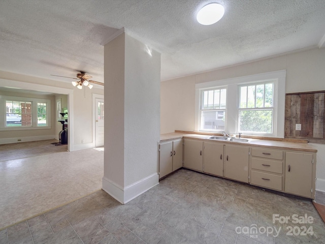 kitchen with white cabinetry, sink, light colored carpet, and a textured ceiling