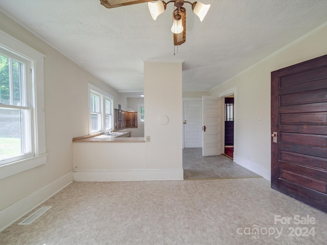 interior space featuring ornamental molding, sink, light carpet, and a textured ceiling