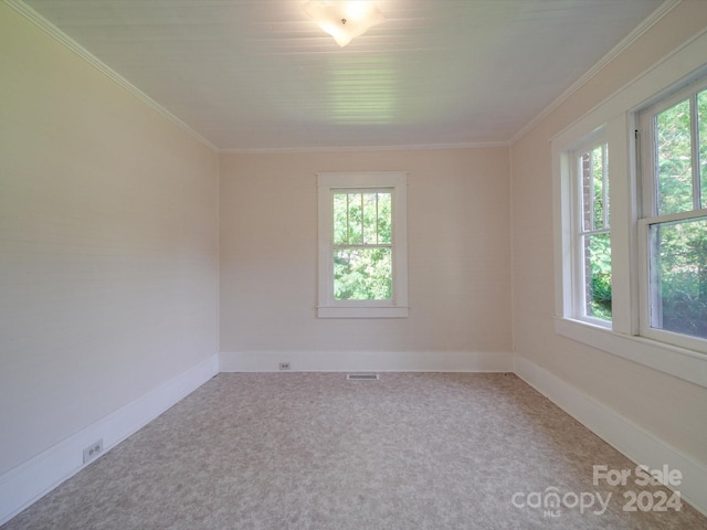 spare room with ornamental molding, plenty of natural light, and carpet floors