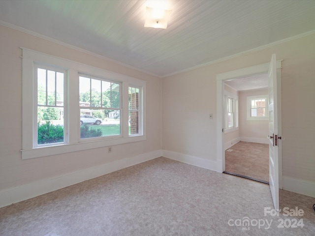 spare room with crown molding and light carpet