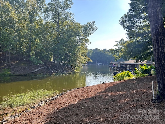 water view with a forest view