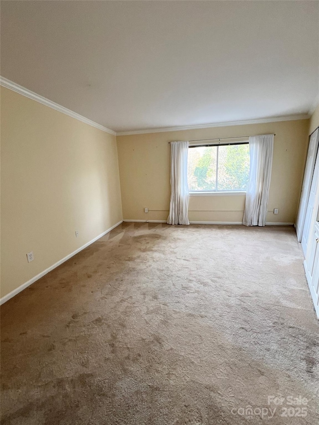 carpeted empty room with ornamental molding