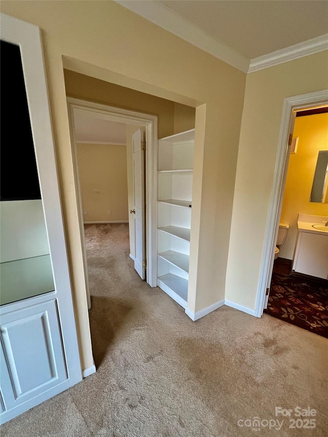 corridor featuring sink, ornamental molding, and light carpet