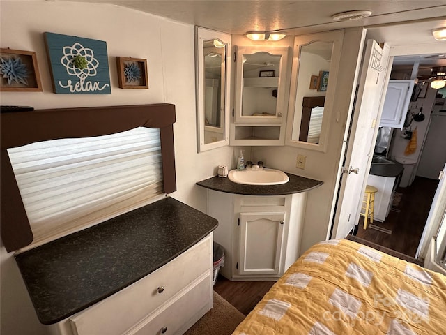 bathroom featuring vanity, ceiling fan, and wood-type flooring