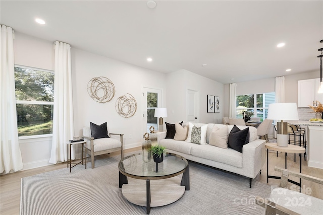 living room with light wood-type flooring