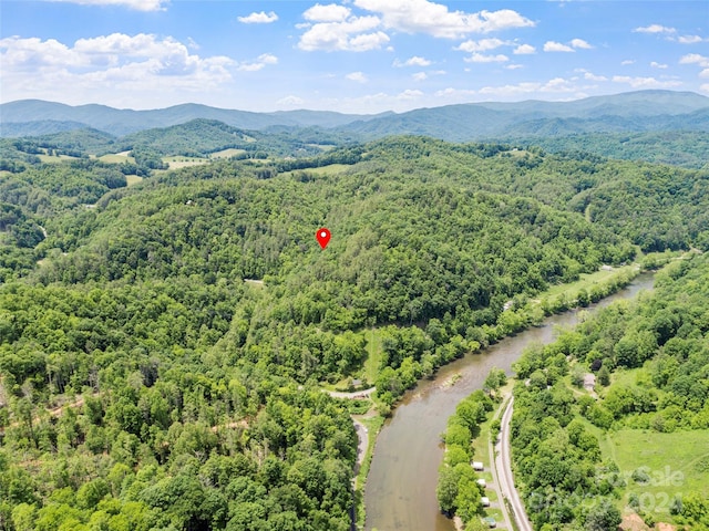 000 Jacks Creek Rd, Green Mountain NC, 28740 land for sale