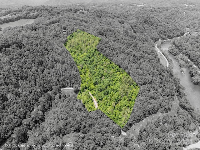 Listing photo 2 for 000 Jacks Creek Rd, Green Mountain NC 28740