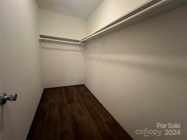 walk in closet with hardwood / wood-style flooring