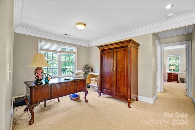 office space with a healthy amount of sunlight, light colored carpet, and crown molding