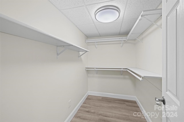 walk in closet featuring light hardwood / wood-style floors and a drop ceiling