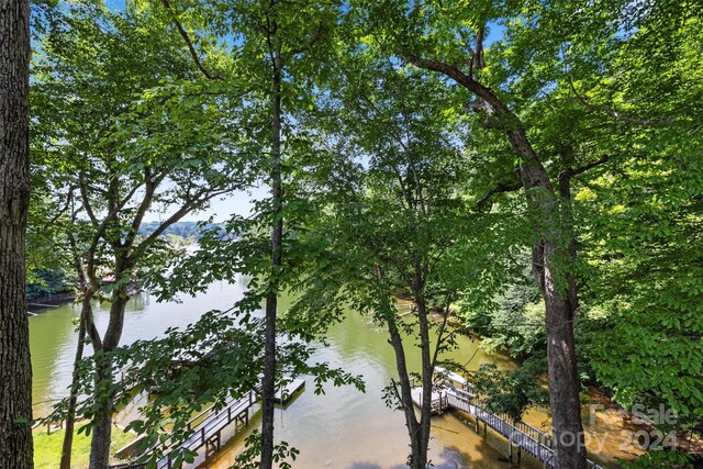 water view featuring a boat dock