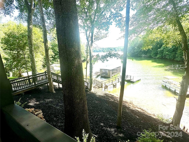 view of yard with a water view and a dock