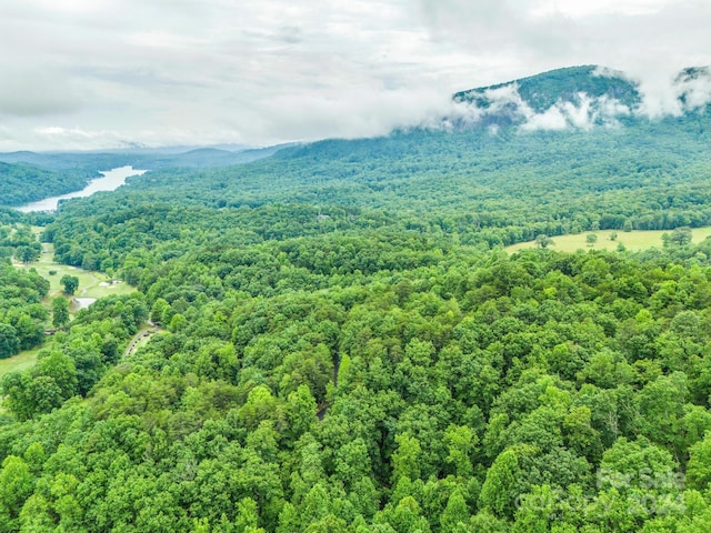 view of mountain feature