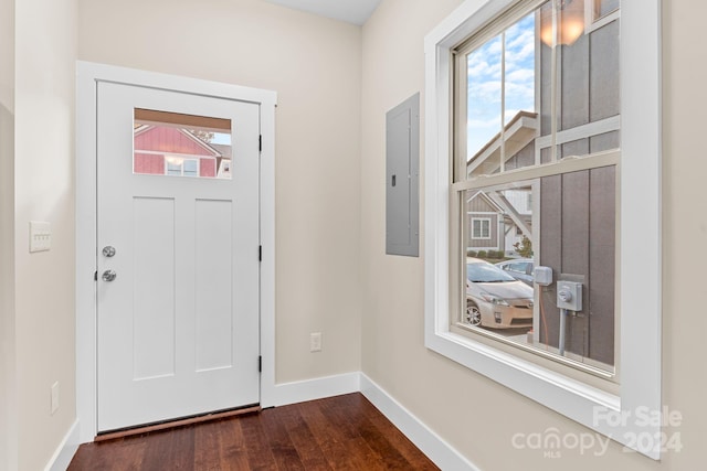 entrance foyer featuring dark wood-type flooring, electric panel, and plenty of natural light