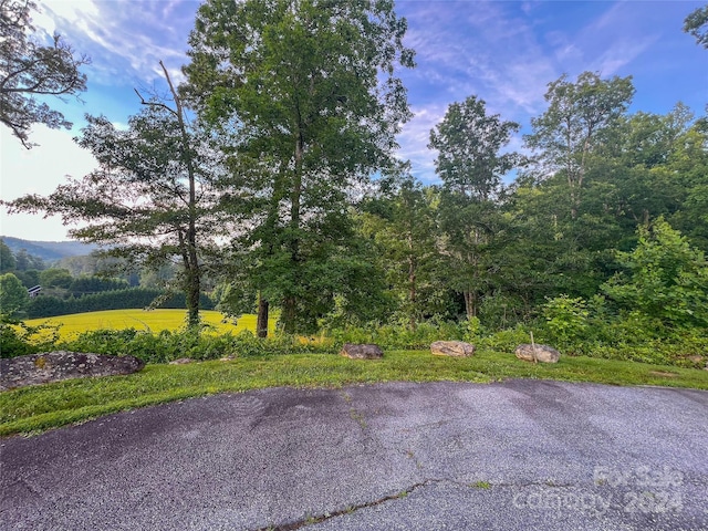 Listing photo 3 for 225 A Virea Dr Unit 5, Hendersonville NC 28739